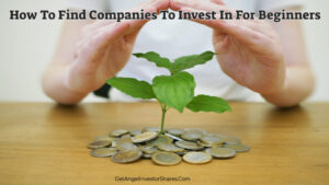 Finding Companies to Invest In: A Beginner’s Guide