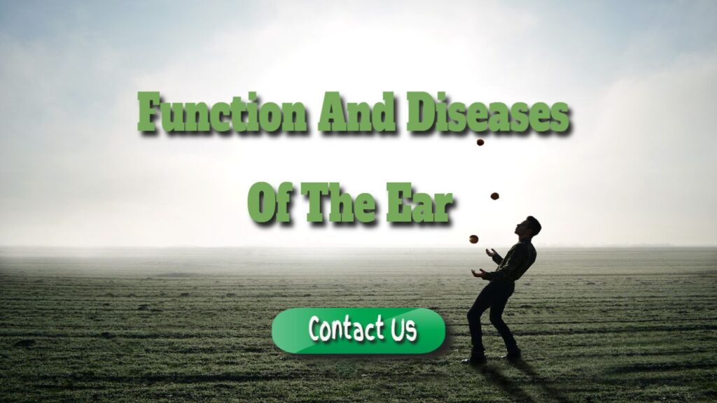 function and diseases of the ear