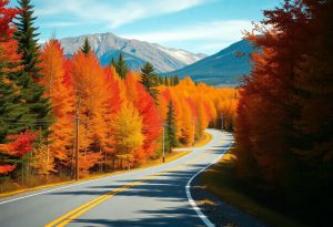 Scenic Drives to Explore Fall Foliage in the U.S.