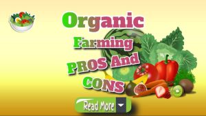 Organic Farming Pros and Cons: A Comprehensive Guide