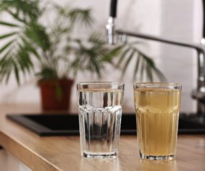 Under-Sink Water Filtration System Worth It for Sydney Residents?