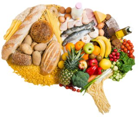 Brain Food